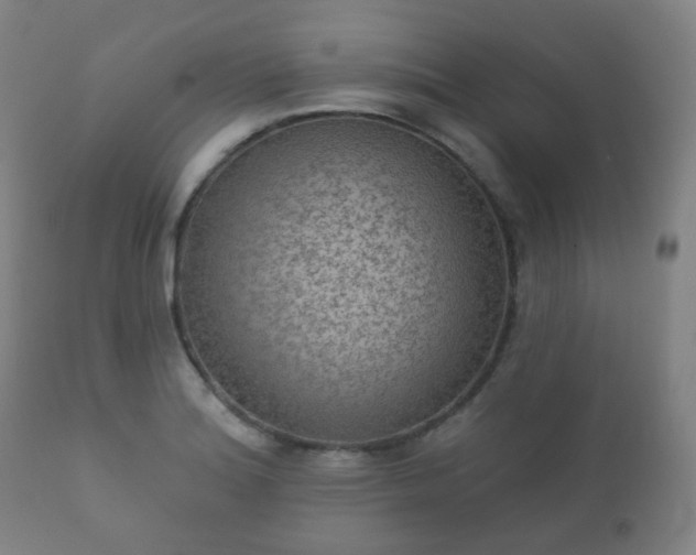 X0000112351180200908201433