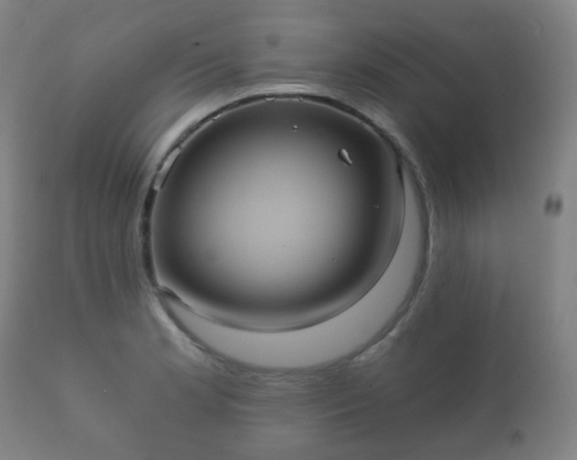 X0000112351181200908201433