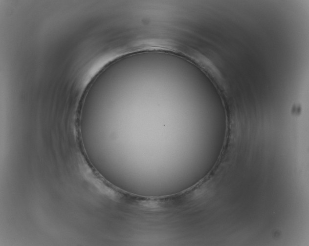 X0000112351182200908201433