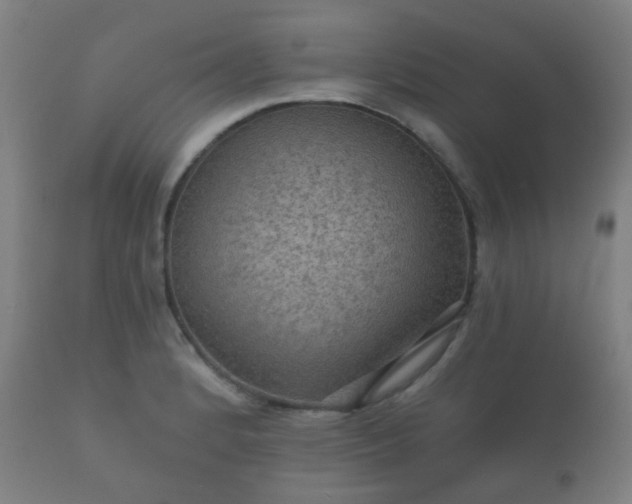 X0000112351184200908201433