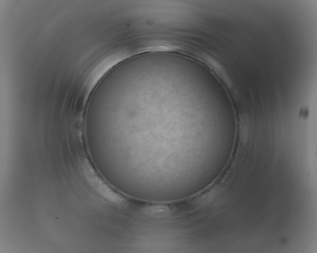X0000112351186200908201433