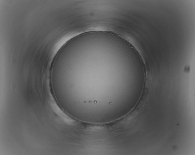 X0000112351187200908201433