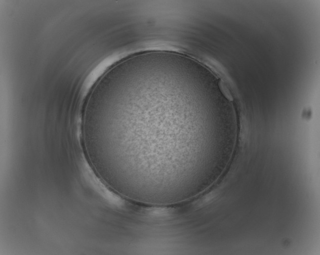 X0000112351188200908201433