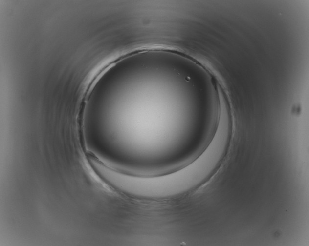 X0000112351189200908201433