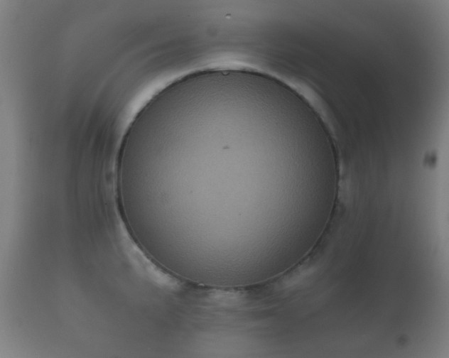 X0000112351191200908201433
