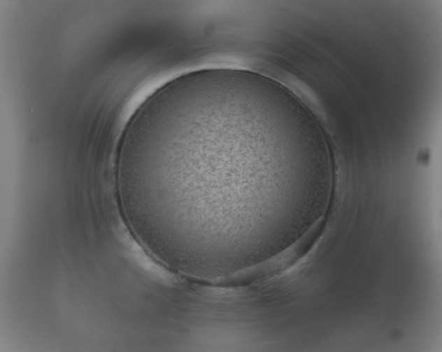 X0000112351192200908201433