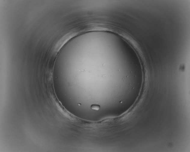X0000112351193200908201433