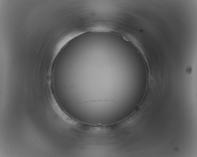 X0000112351195200908201433