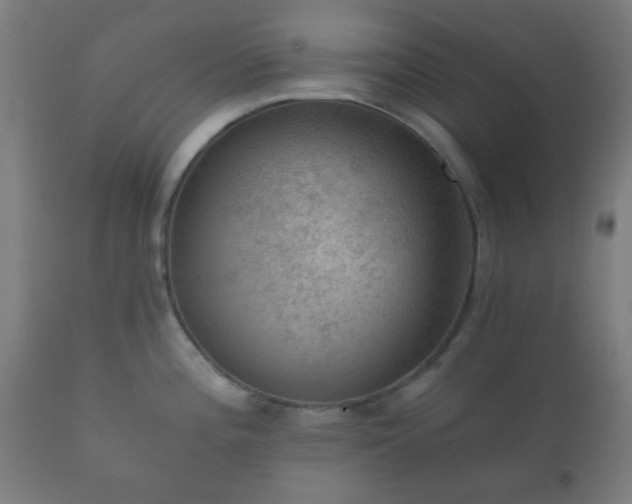 X0000112351196200908201433