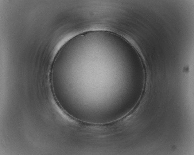 X0000112351197200908201432