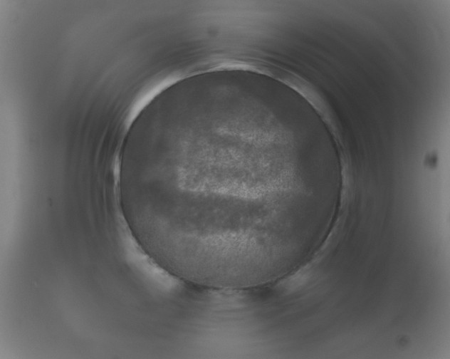 X0000112351198200908201432