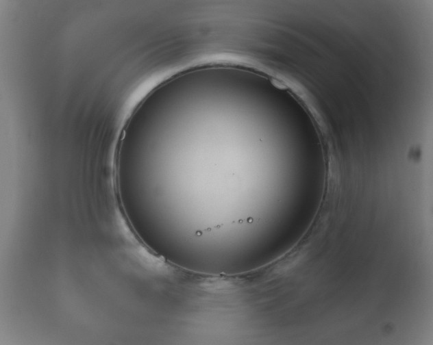 X0000112351199200908201432