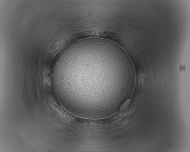 X0000112351202200908201432