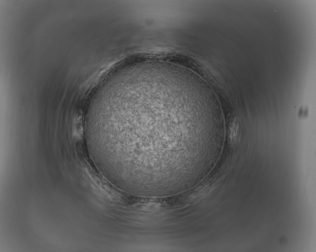 X0000112351204200908201432