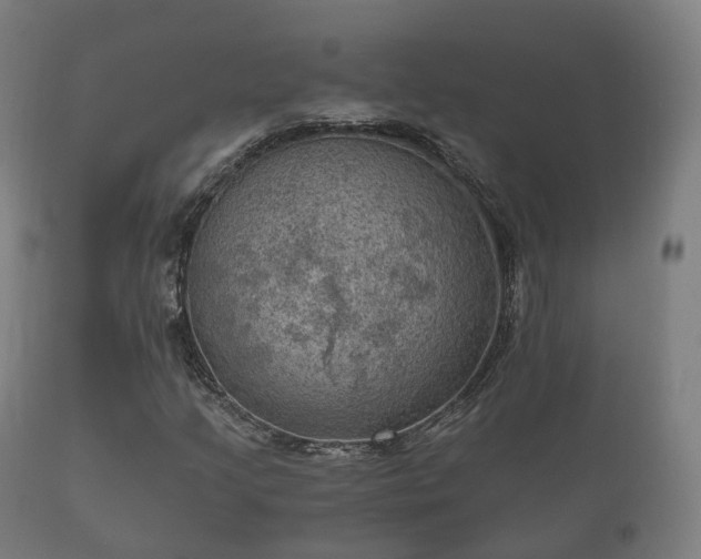 X0000112351205200908201432