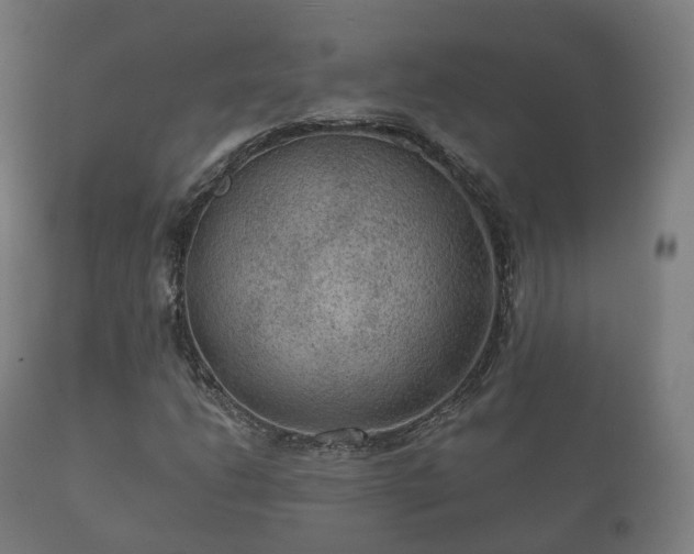 X0000112351206200908201432