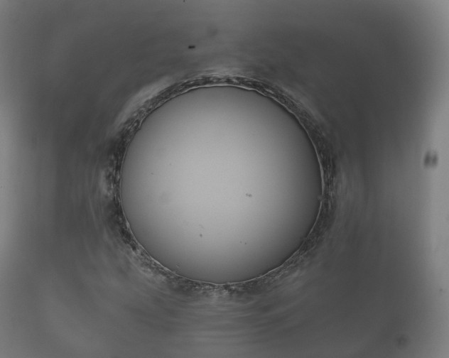 X0000112351207200908201432