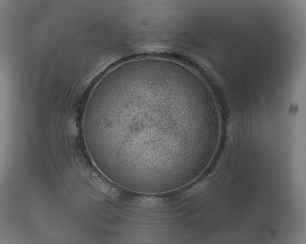 X0000112351209200908201432