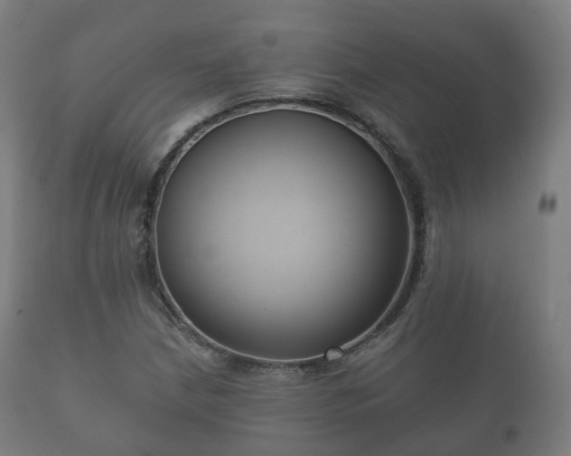 X0000112351210200908201432