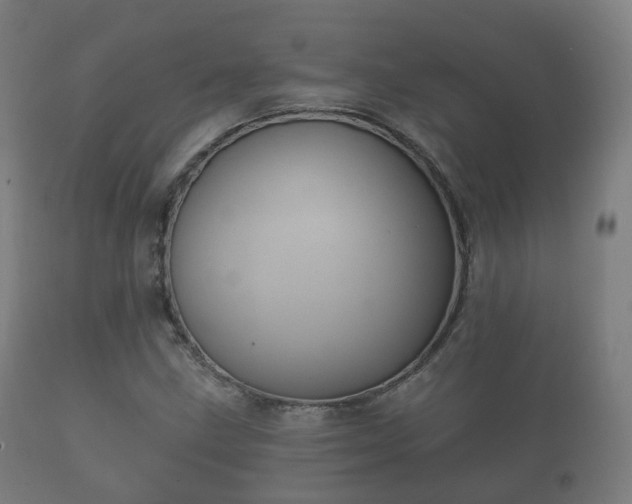 X0000112351211200908201432