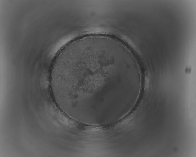 X0000112351213200908201432