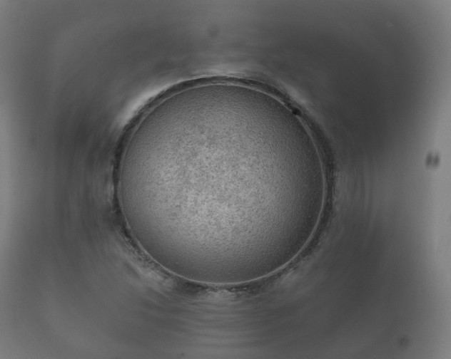 X0000112351214200908201432