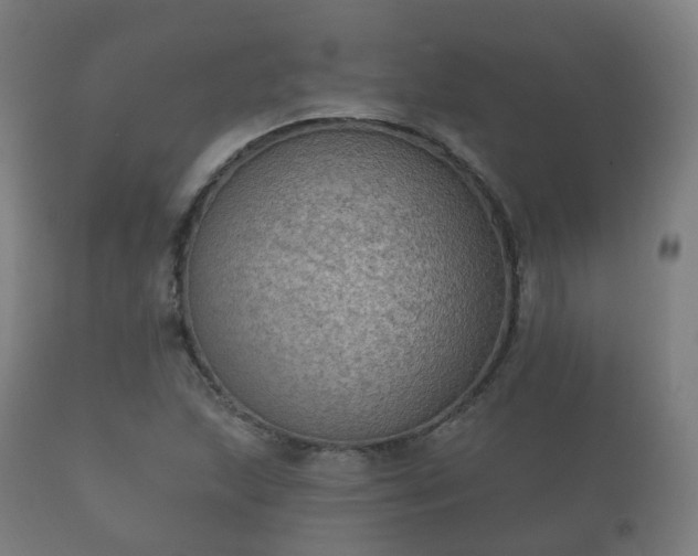 X0000112351215200908201432