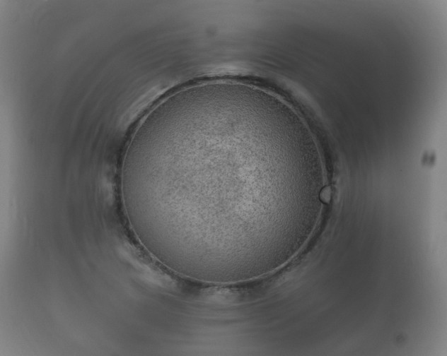 X0000112351217200908201432