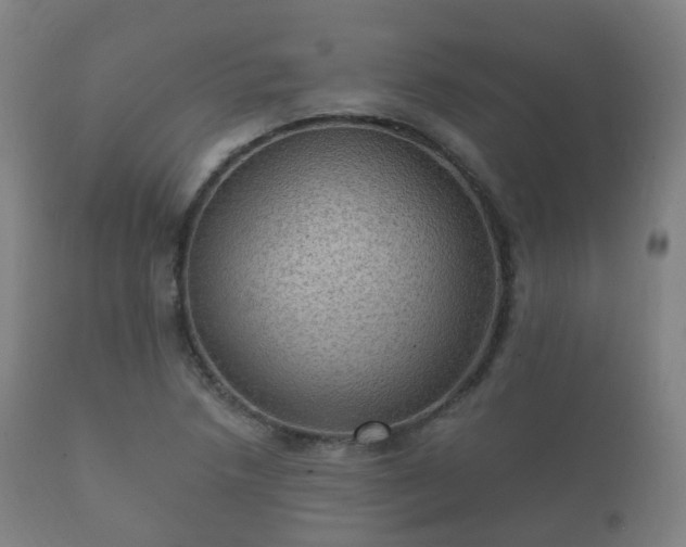 X0000112351218200908201432