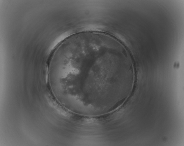 X0000112351219200908201432
