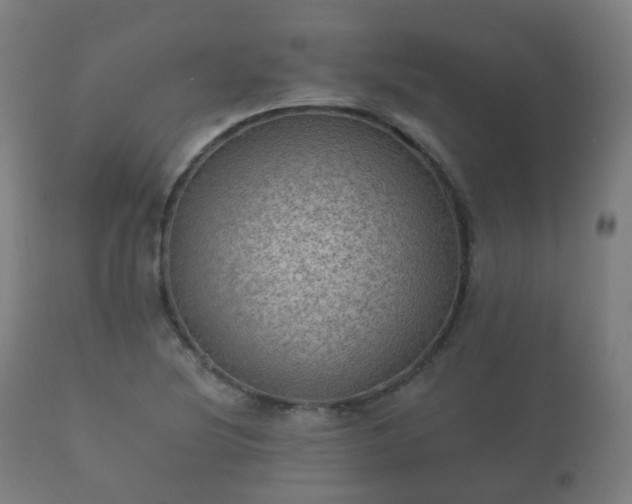 X0000112351220200908201432