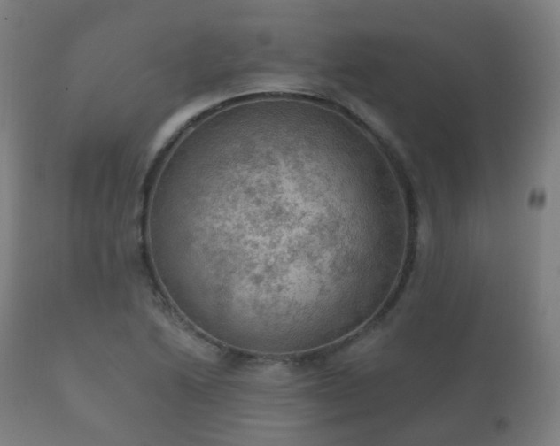 X0000112351222200908201432