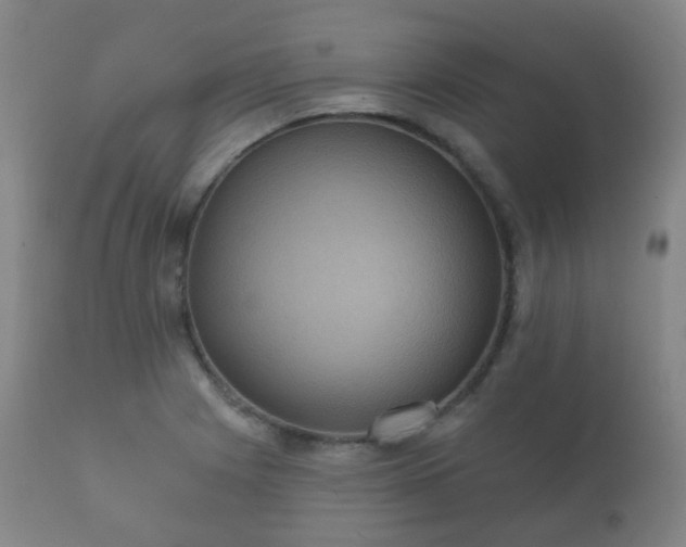 X0000112351225200908201432