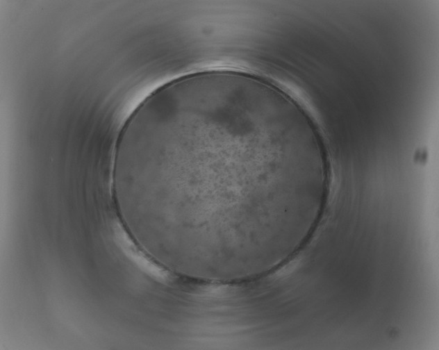 X0000112351228200908201432