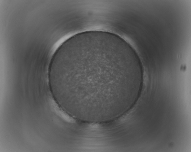 X0000112351230200908201432