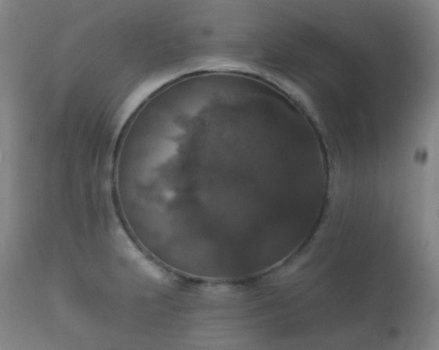X0000112351231200908201432