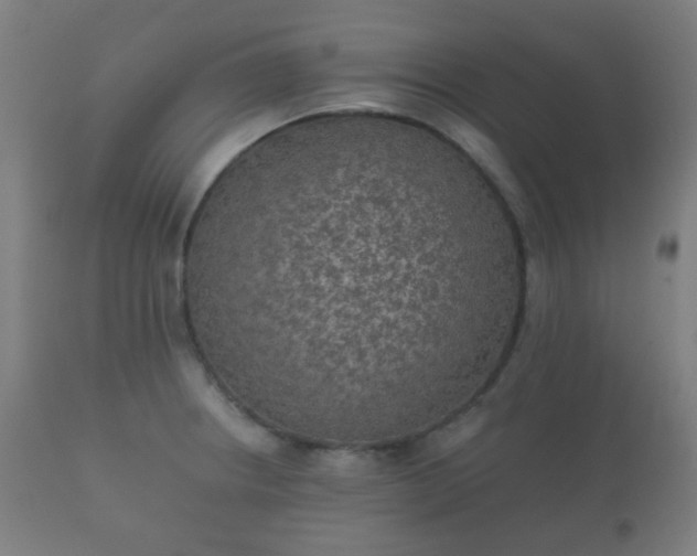 X0000112351234200908201432