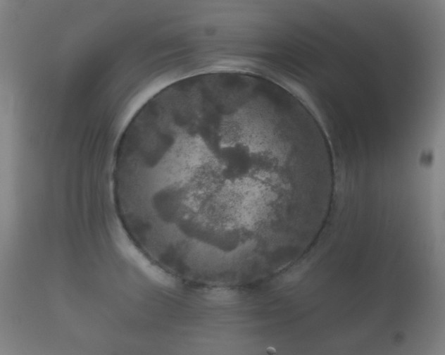 X0000112351235200908201432