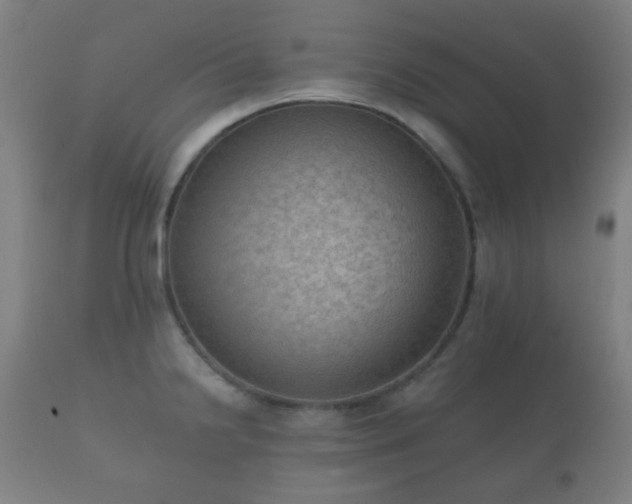 X0000112351238200908201432