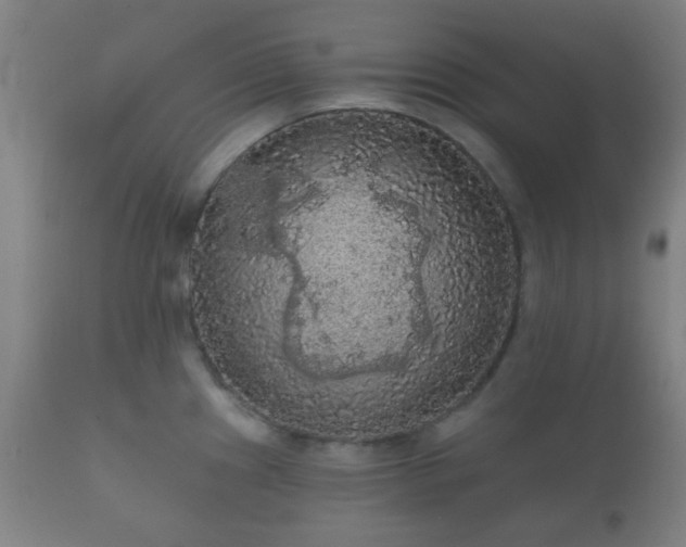 X0000112351241200908201432