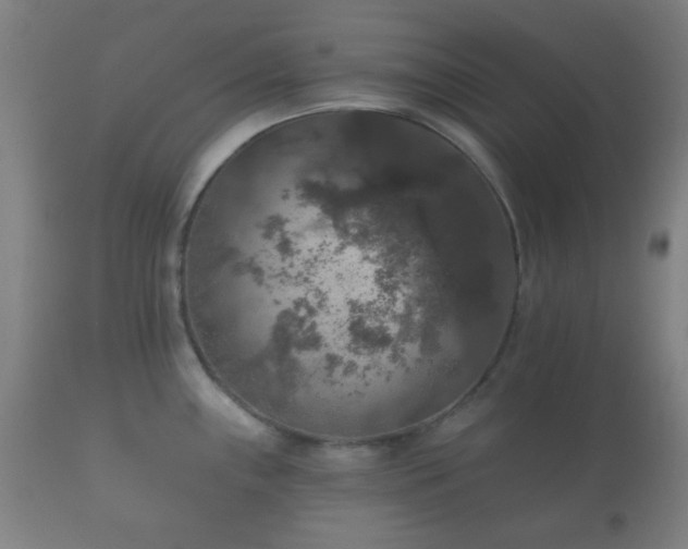 X0000112351243200908201432