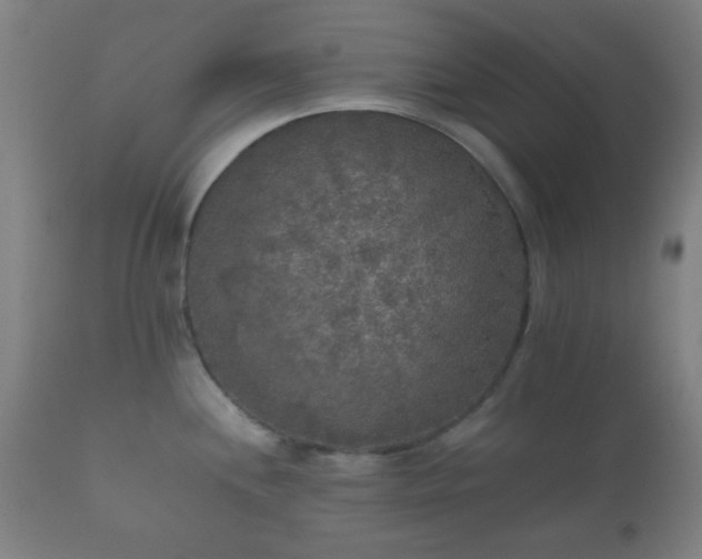 X0000112351244200908201432