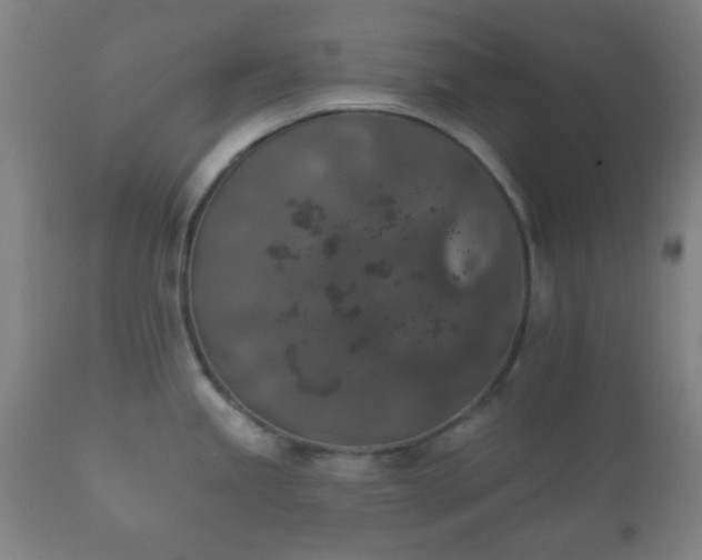 X0000112351245200908201432