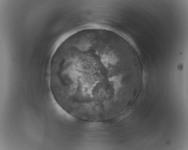 X0000112351247200908201432