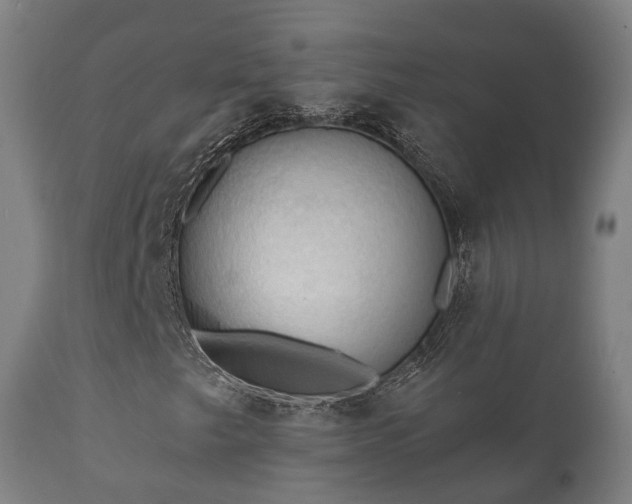 X0000112351249200908201432