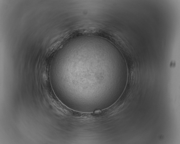 X0000112351250200908201432