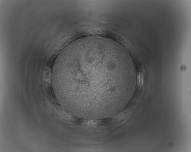 X0000112351251200908201432