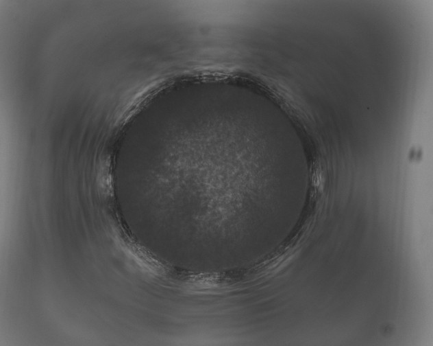 X0000112351252200908201432