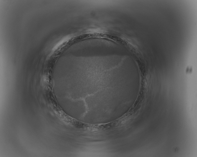 X0000112351254200908201432