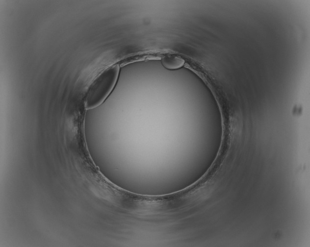 X0000112351257200908201432